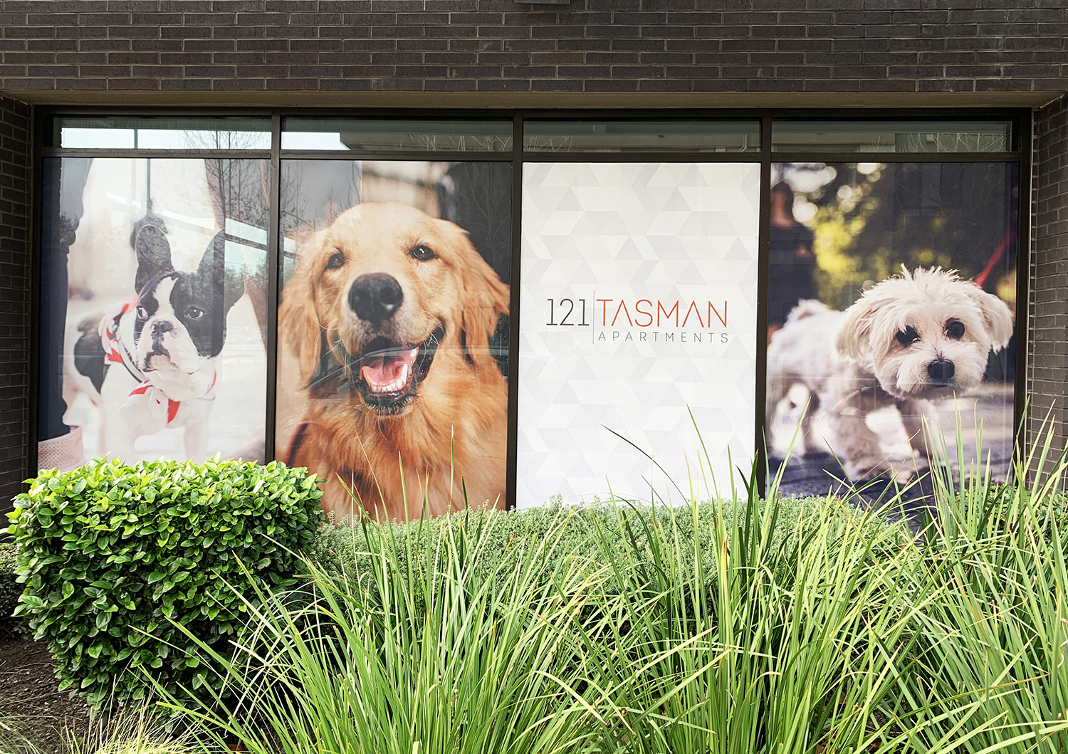 Tasman121_VisualPro_00013