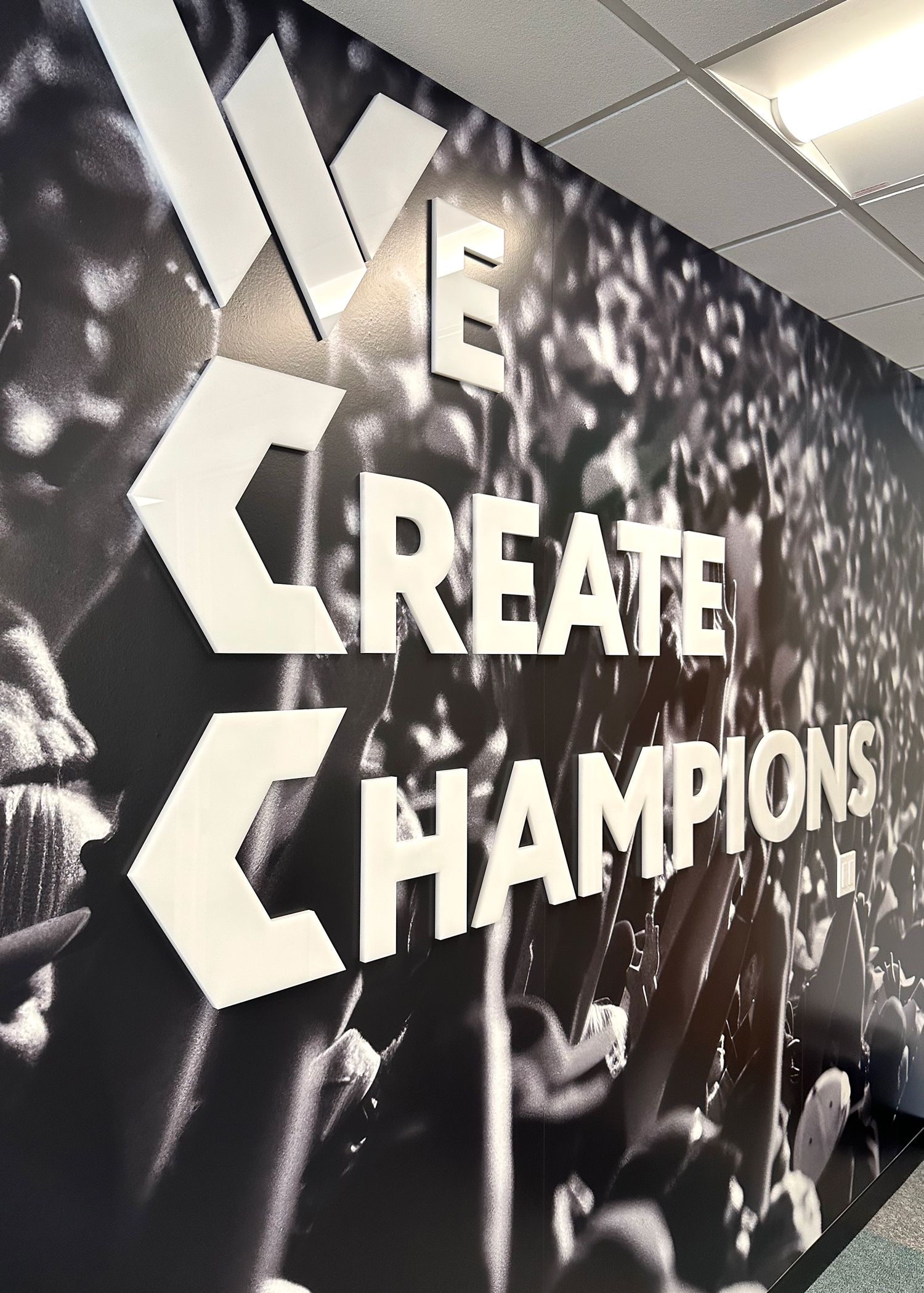 New custom made letters on bold wall graphics