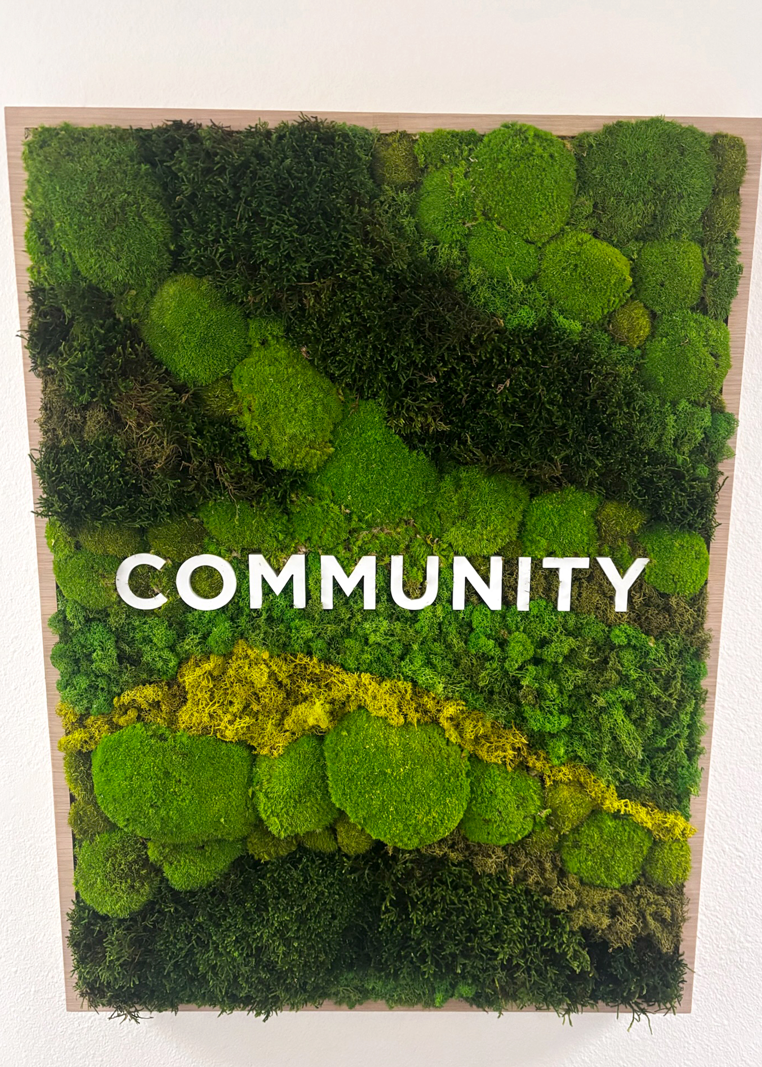 VisualPro created a custom branded environment for Navy Federal featuring dimensional lobby signage, illuminated acrylic details, Oak Rift Cut Veneer, and preserved moss graphics. The installation brings the brand to life throughout the space, combining natural textures, dimensional elements, and custom messaging to create a cohesive, welcoming member experience.